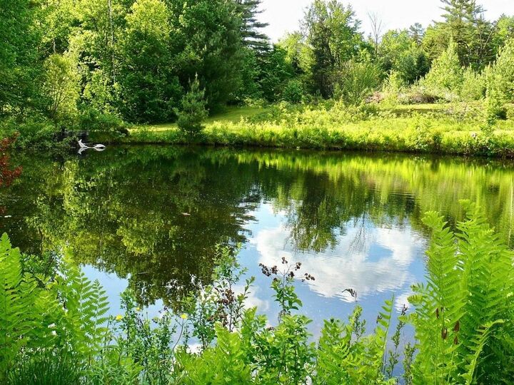 Property Photo:  159 Tracy Hill Road  VT 05669 