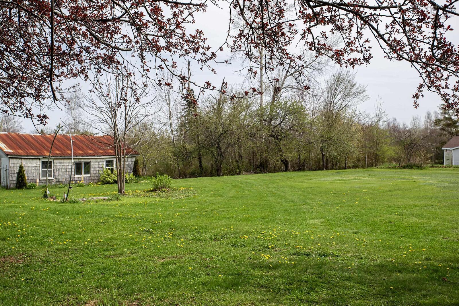 Property Photo: 10419 Highway 1 NS B0S 1L0