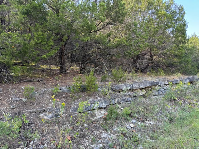 Property Photo:  268 Table Rock Drive  AR 72631 