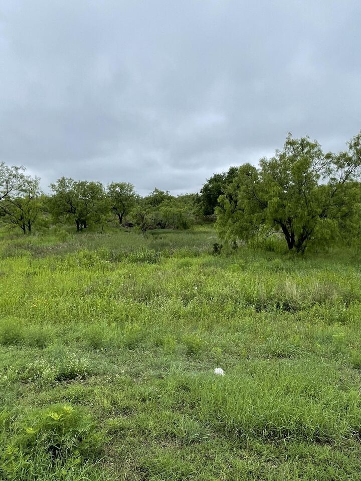 Property Photo:  509 Lake View Heroes Drive  TX 76903 