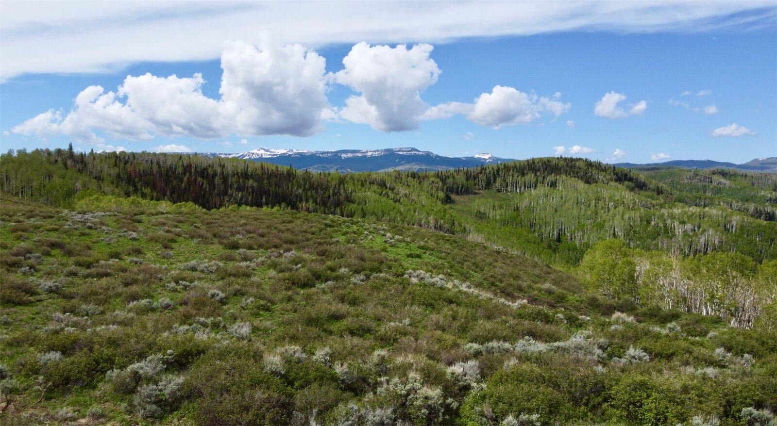 Property Photo:  Tbd Silverado Road  CO 80467 