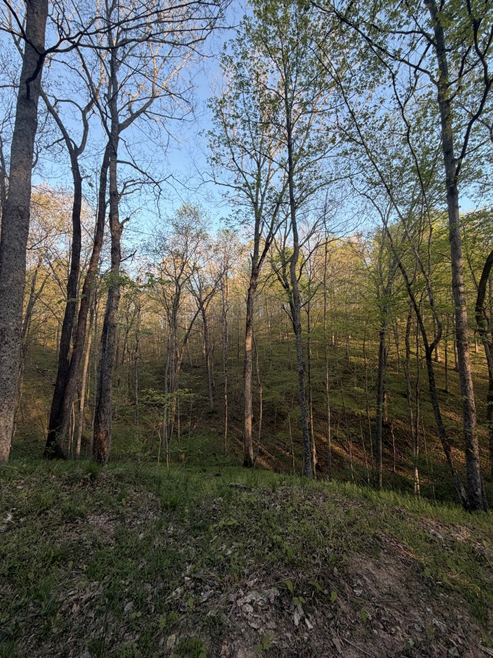 Property Photo:  950 Scenic Drive  OH 45686 