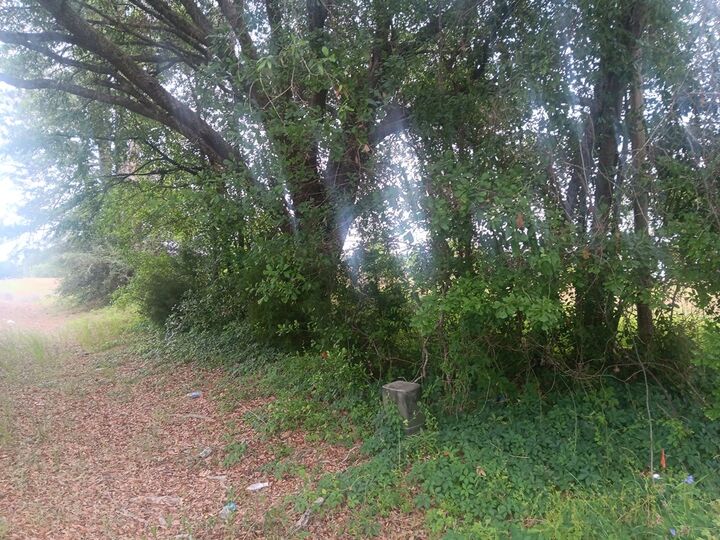 Property Photo: 2901 Worthy Street GA 31075