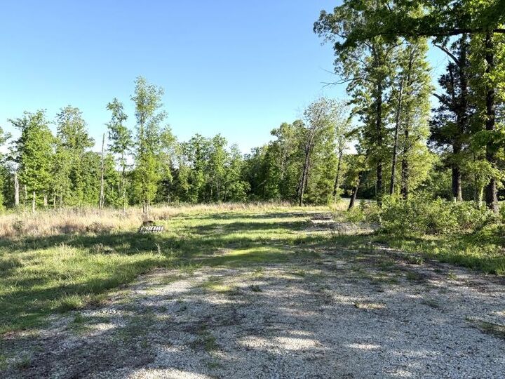 Property Photo:  260 Highway 63  AR 72459 