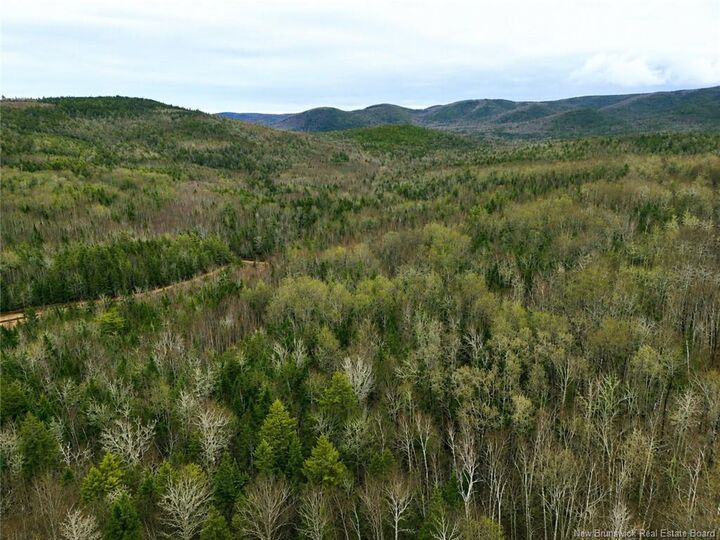 Property Photo:  Lot Shaw Road  NB E4H 4H7 