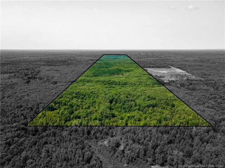 Property Photo: Lot 58 Alexandrina Road NB E4H 2H5