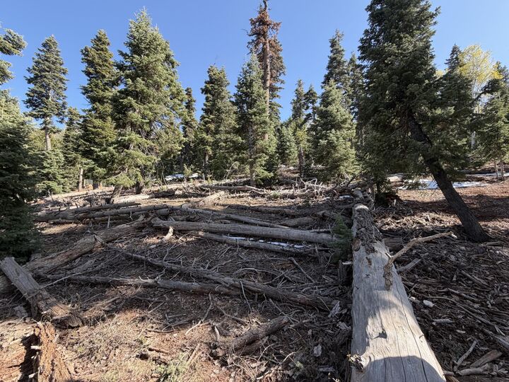 Property Photo:  1015 W Big Horn Cir  UT 84762 