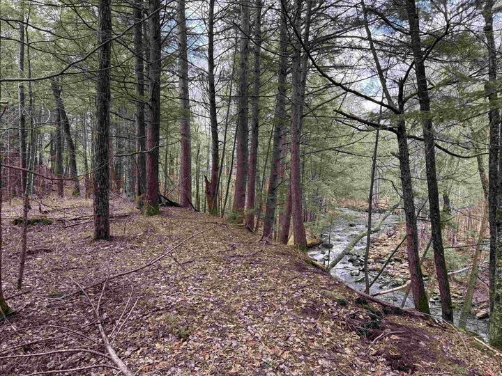 Property Photo: 3039 US Route 3 NH 02385