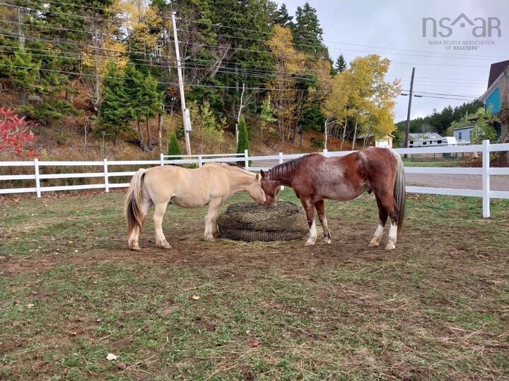 Property Photo:  8622 Highway 209  NS B0M 1S0 