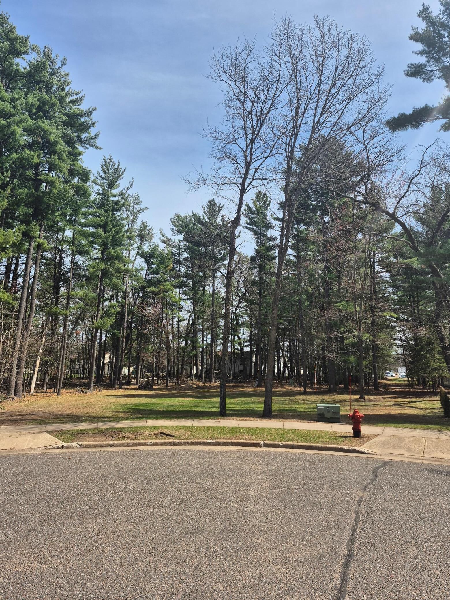 Property Photo:  316 Violet Circle  WI 54840 