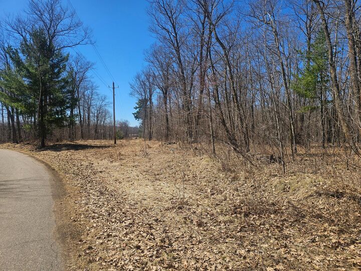 Property Photo:  Tbd Tract A Swanson Road  MN 56444 