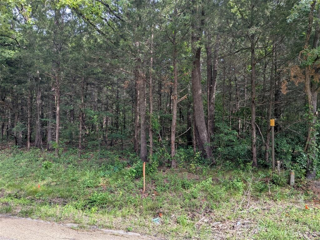 Property Photo:  110 Vz County Road 1129  TX 75127 