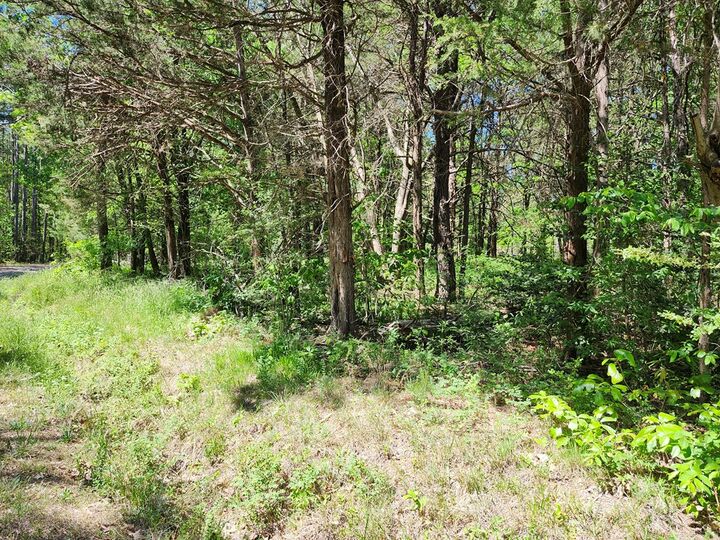 Property Photo:  0 Mill-Scott Road  VA 23901 