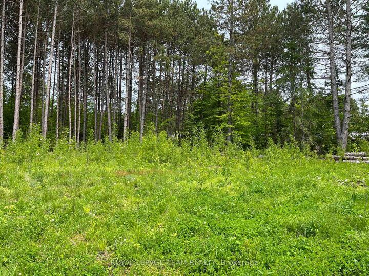 Property Photo: 18500 Highway 60 Highway ON K0J 1B0