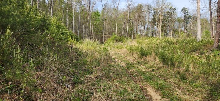 Property Photo:  Stinson Creek Road Lot 4  KY 41143 