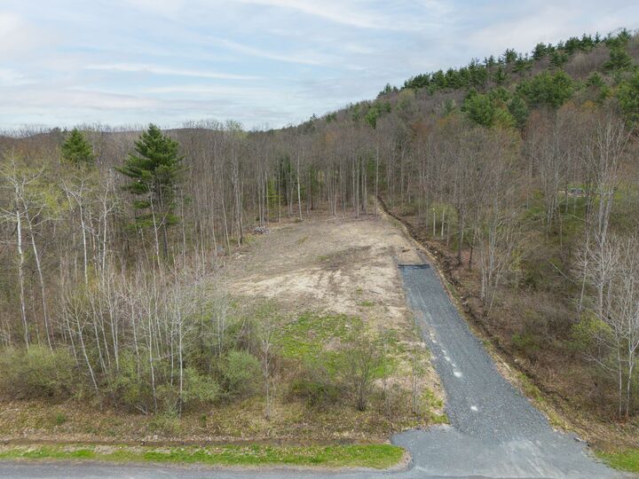 Property Photo:  11 Maple Drive  NY 13795 