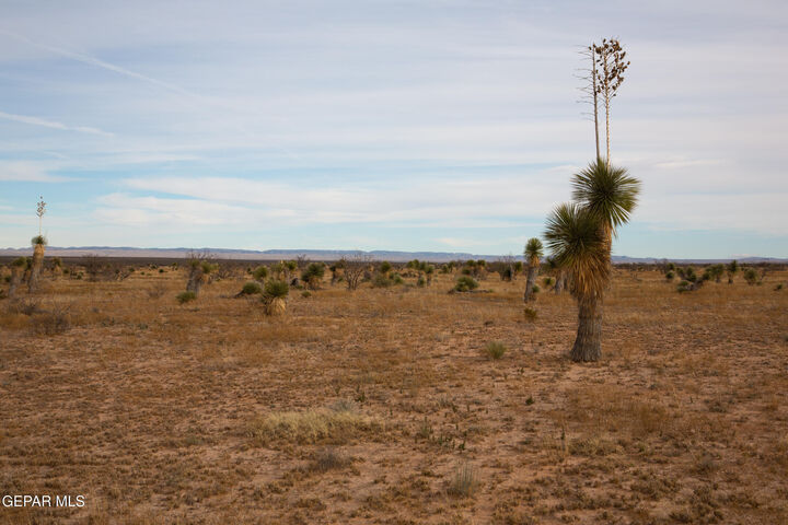 Property Photo: Pn 76127 Tbd 37 Sec 1 Psl Sunset Ranche TX 79851