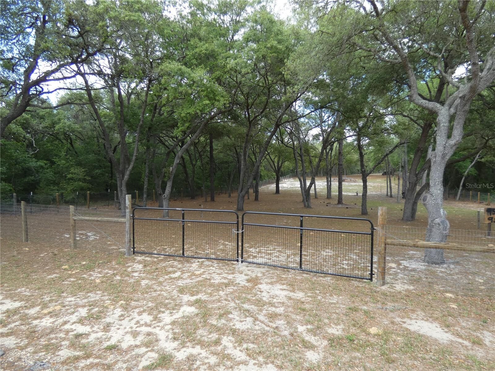 Property Photo:  20865 SW 70th Street  FL 34431 