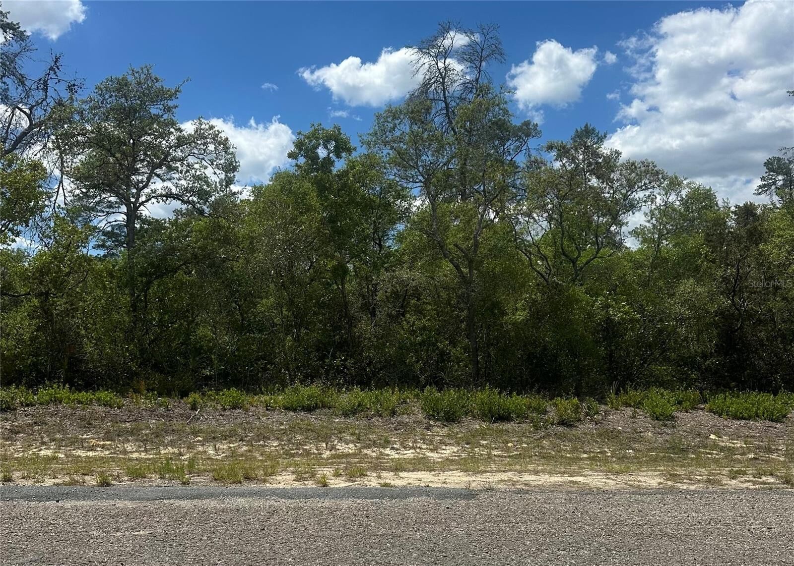 Property Photo: 8036 N Wayside Avenue FL 34433