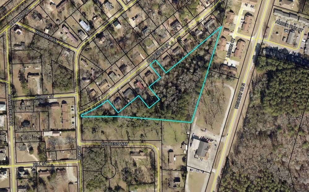 Property Photo:  207 Culpepper Street  GA 30828 