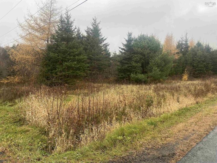 Lot 7 New Cheverie Road — photo 1