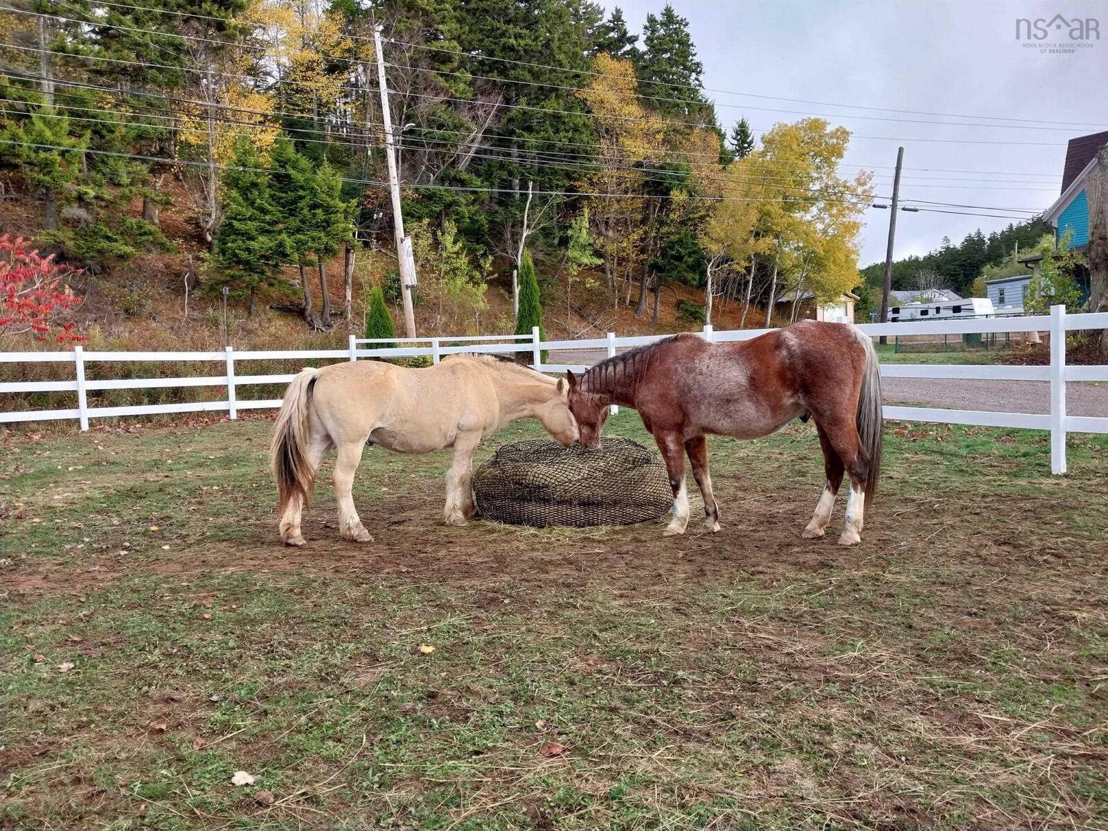 Property Photo:  8622 Highway 209  NS B0M 1S0 