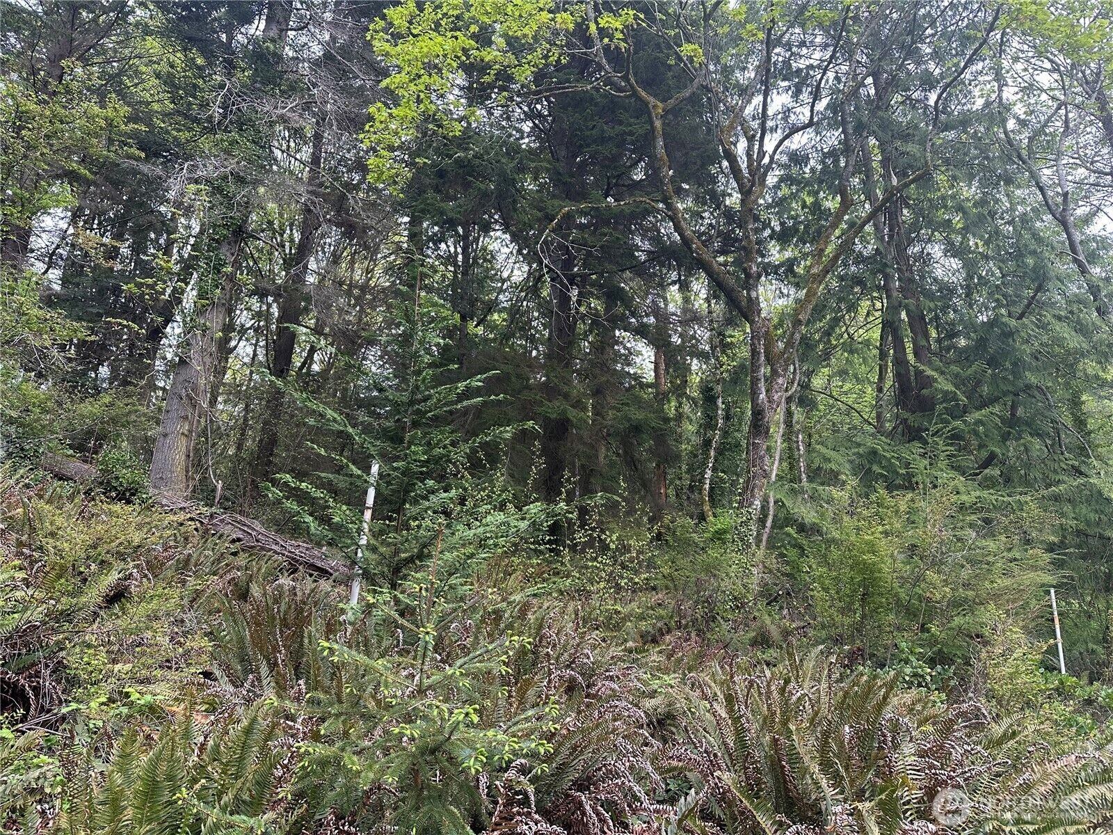 Property Photo:  11 NE Shore Drive  WA 98342 