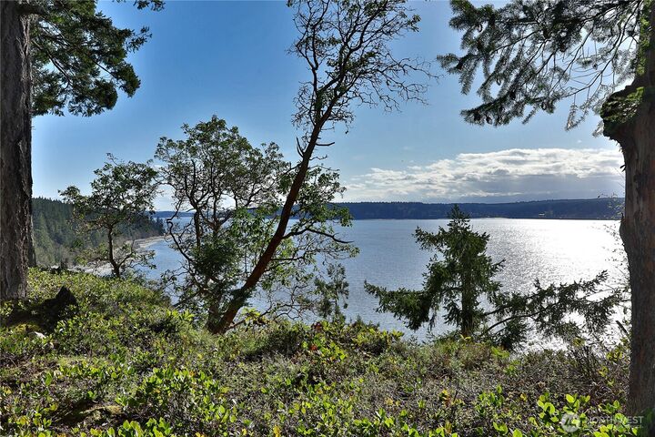 Property Photo:  0 37xx  Emmet Place  WA 98260 