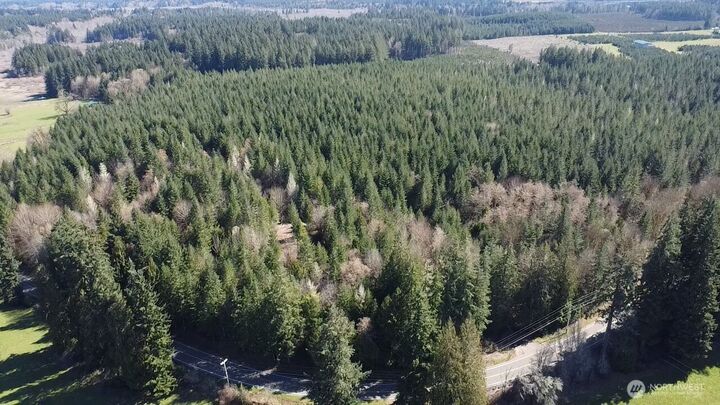 Property Photo:  0  Delphi Road SW  WA 98512 