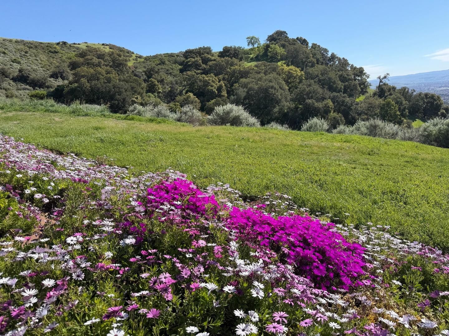 Property Photo:  0 Boulder Drive  CA 95132 