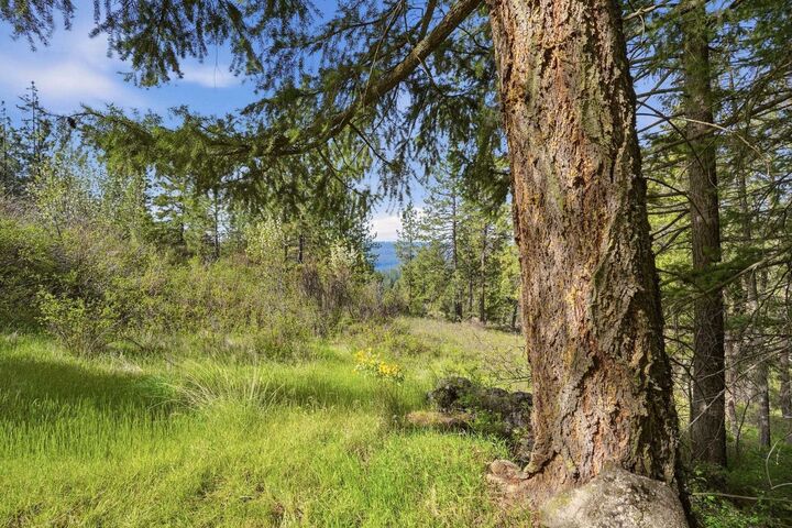 Property Photo:  Xx N Abigail Ln  WA 99208 