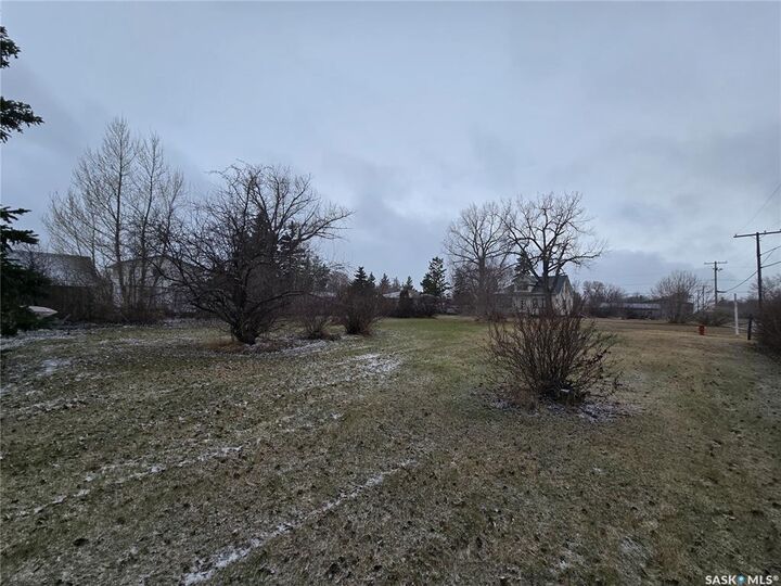 Photo de la propriété:  403 Assiniboia Avenue  SK S0G 0J8 