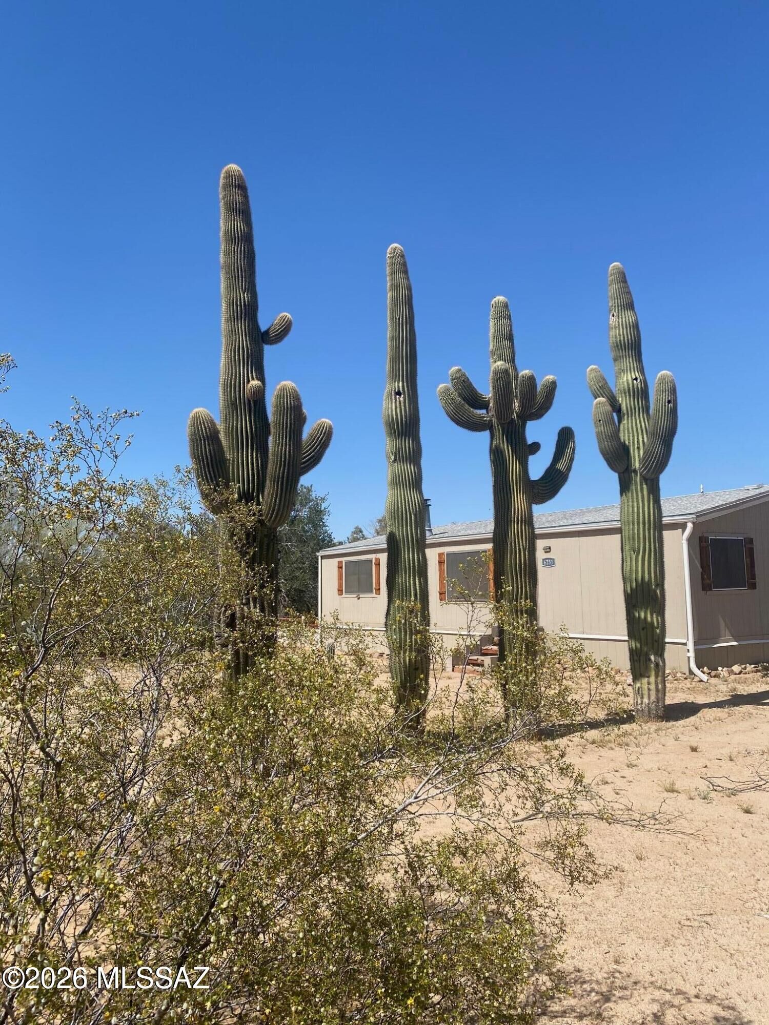 Property Photo:  6251 N Blue Boulevard  AZ 85743 