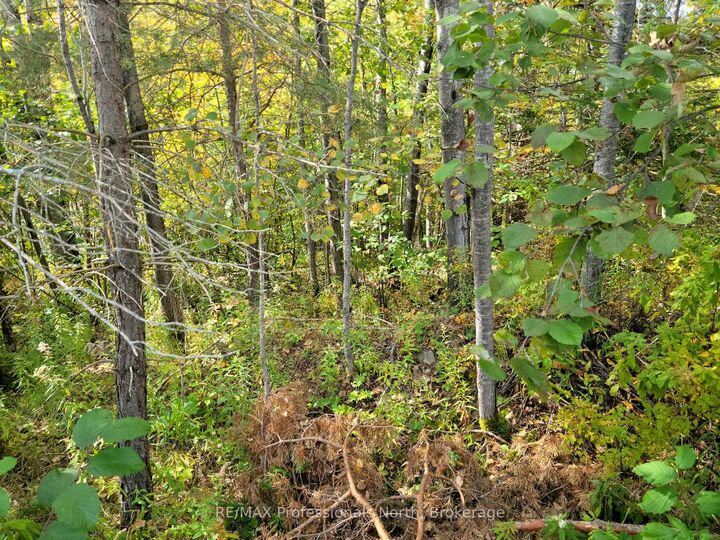 4 Fox Run Lane 32 — photo 1