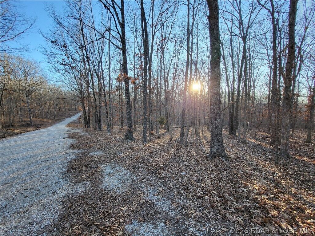 Property Photo:  Wenzel Place 217,218 & 219  MO 65326 