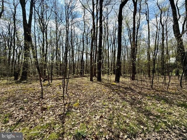 Property Photo:  Lot 13 Timerman Road  PA 16625 