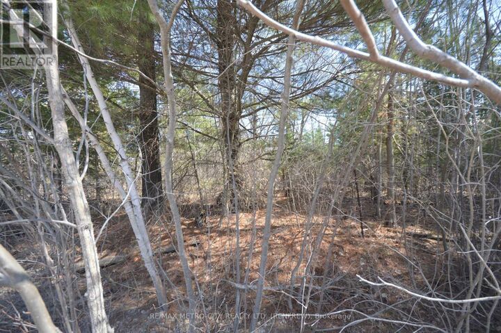 Property Photo:  00 Behm Line  ON K0J 1K0 