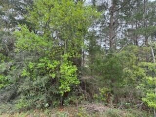 Property Photo:  7117 Snug Waters Road  FL 32566 