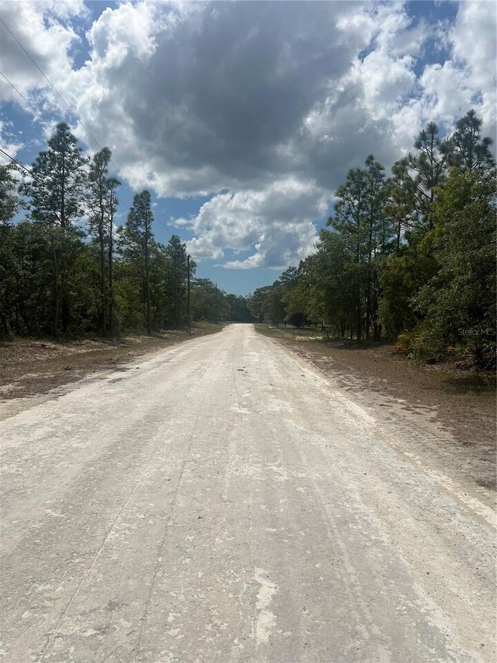 Property Photo:  Sage Thrasher Ave  FL 34614 