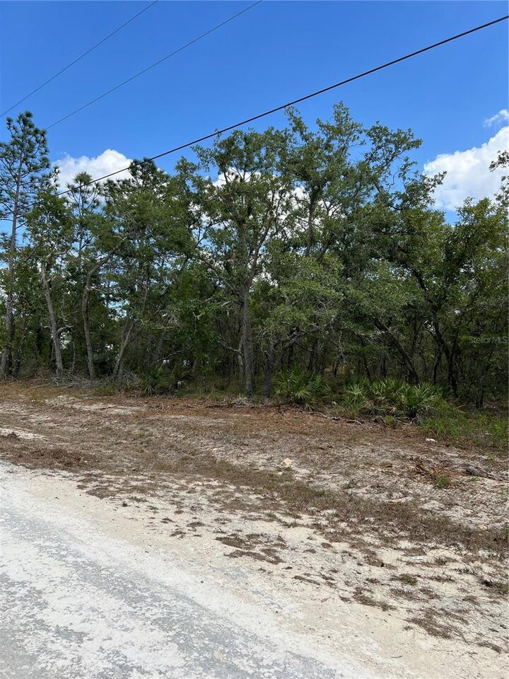 Property Photo:  Sage Thrasher Ave  FL 34614 