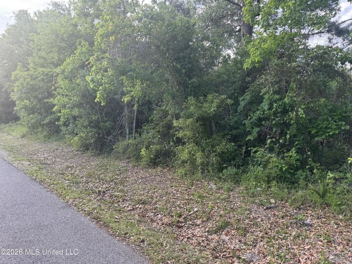 Property Photo:  221 Julia Street  MS 39520 