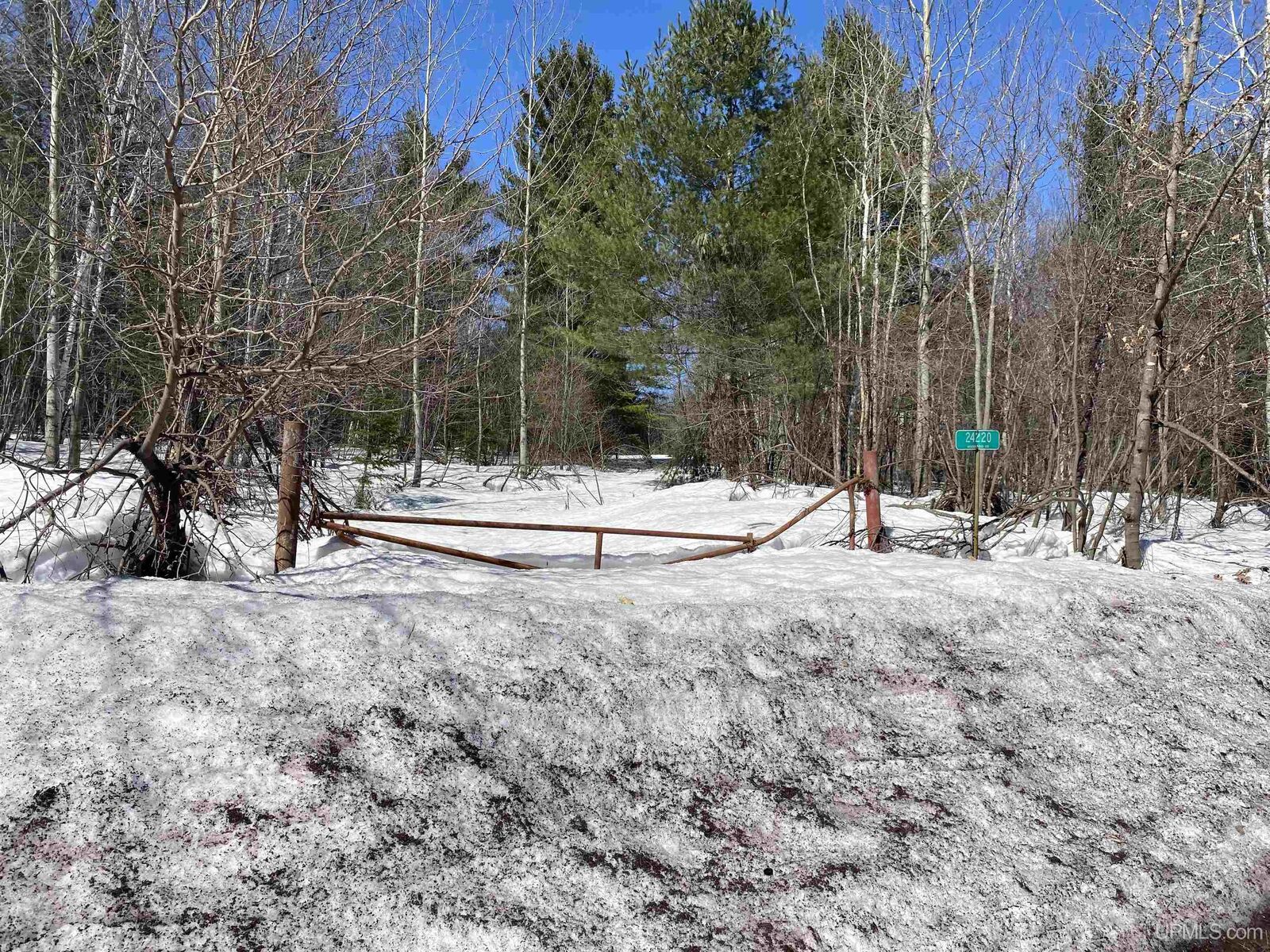 Property Photo:  24220 Woodland Road  MI 49913 