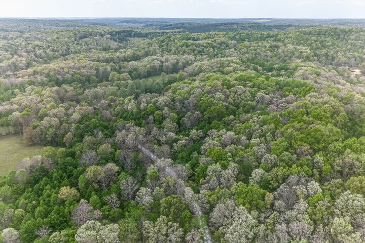 Property Photo:  0 Dunford Lane  TN 38504 