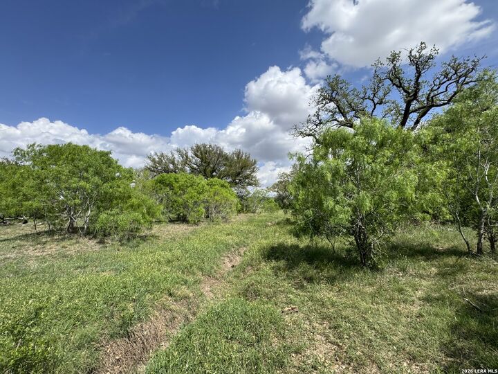 Property Photo: 1110 Hartfield Road TX 78155