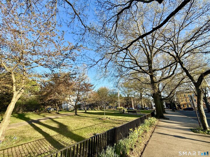 Property Photo:  6 Jefferson Street  CT 06511 