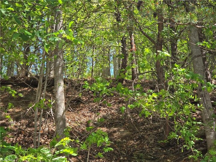 Property Photo:  Tbd Price Road  NC 28654 