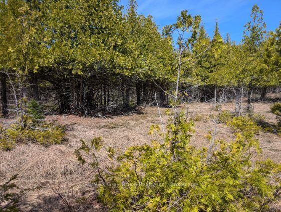 Property Photo:  0 Sutter Road  ON N0H 2T0 