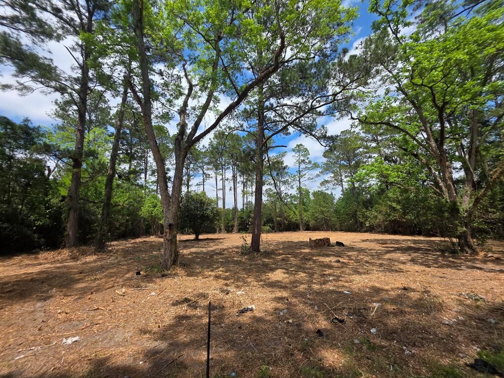 Property Photo:  655 NE 12th Avenue  GA 39828 