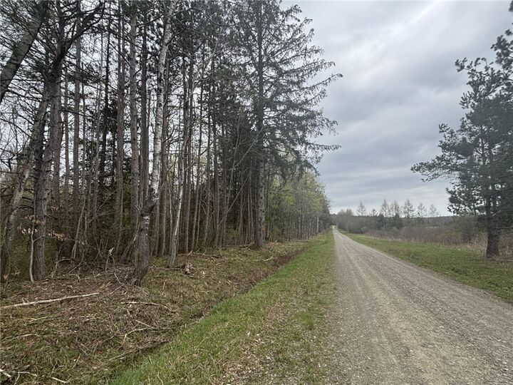 Property Photo:  Vl Wagner Road  NY 14437 