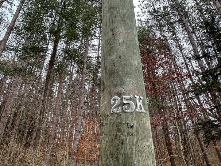 Property Photo: 383 Big Oak Lane NY 14807